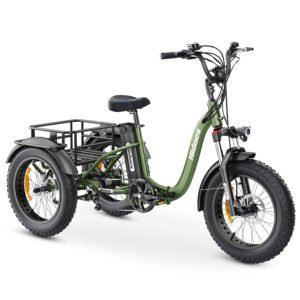 hidoes et1 foldable electric tricycle | 750w motor, 20ah battery & 20" fat tires