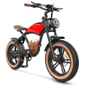 Home Hidoes B10 Electric Bike