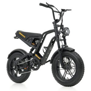 Hidoes B6 Mini Electric Bike