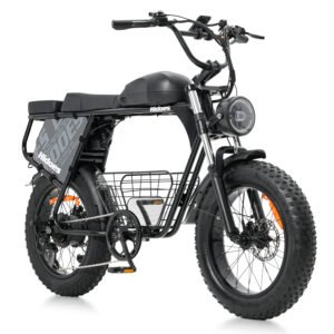 Hidoes B9 Dual Battery E-Bike