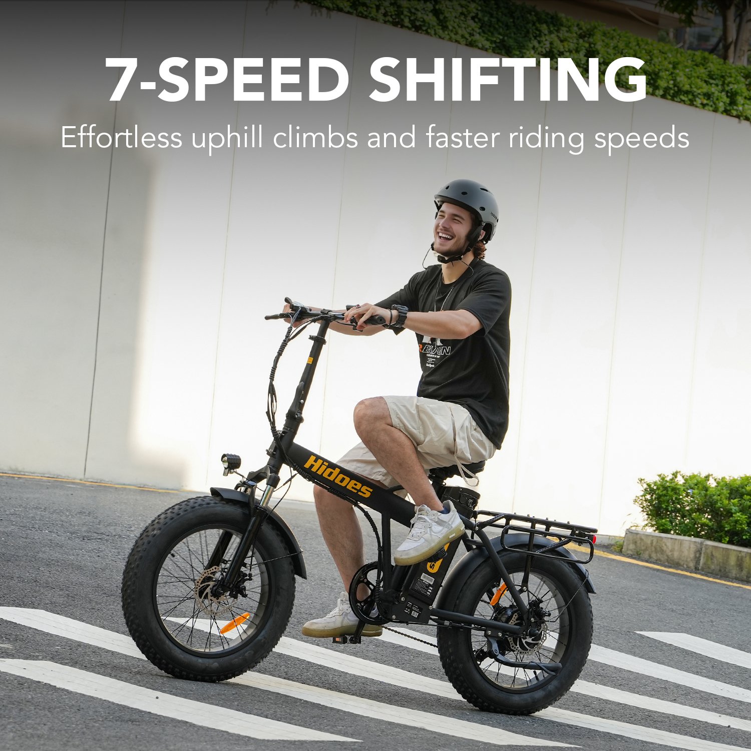 Hidoes F3 Electric Fat Bike Hidoes F3 Electric Fat Bike