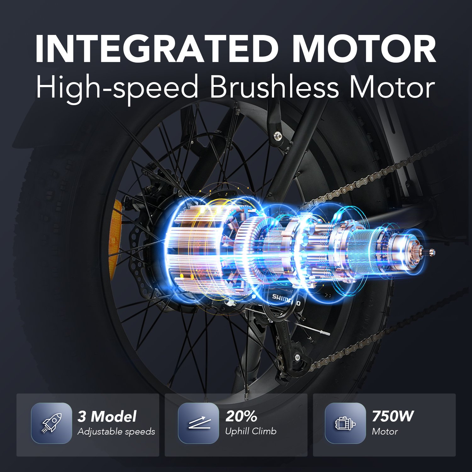 Hidoes F3 Electric Fat Bike Hidoes F3 Electric Fat Bike