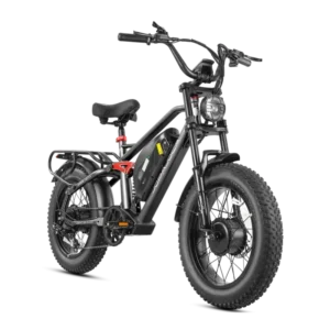 Home eahora terra ii electric bike 1000w